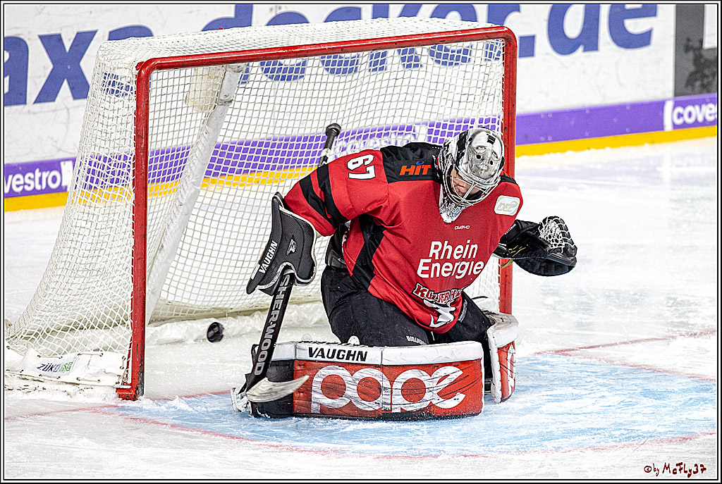 DEL; Koelner Haie - Thomas Sabo Ice Tigers Nuernberg, 19.02.2019